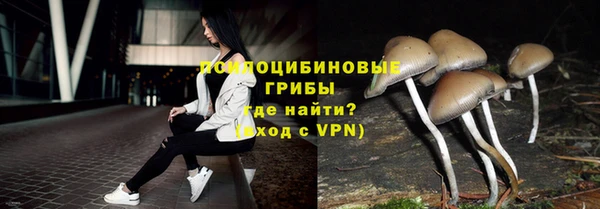 mdpv Белокуриха