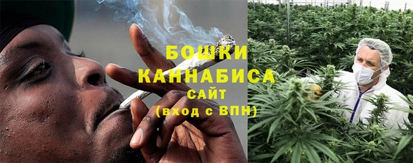 mdpv Белокуриха